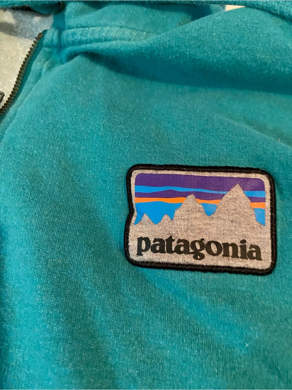 Patagonia Teal Zip-Up Hoodie with Mountain Patch size large - Picture 2 of 9